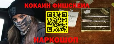 стаф Можга