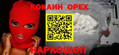стаф Можга