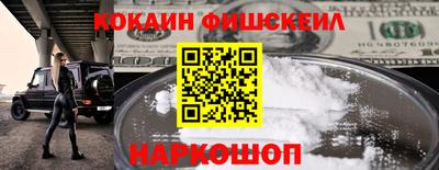 стаф Можга