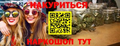 стаф Можга