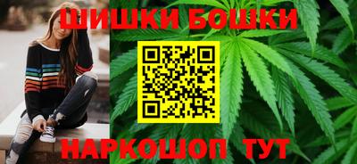 стаф Можга