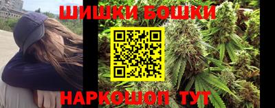 стаф Можга