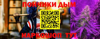 стаф Можга