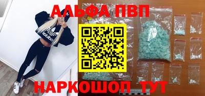 стаф Можга