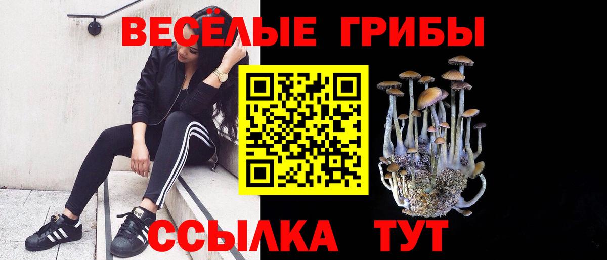 Галлюциногенные грибы мицелий  продажа наркотиков  Тверь  Вход с VPN 
